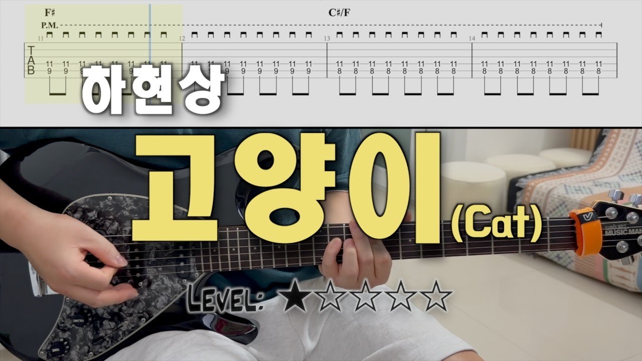집사 필수 곡! | 하현상(Ha Hyun Sang) - 『고양이(Cat)』 | guitar cover(with TAB)