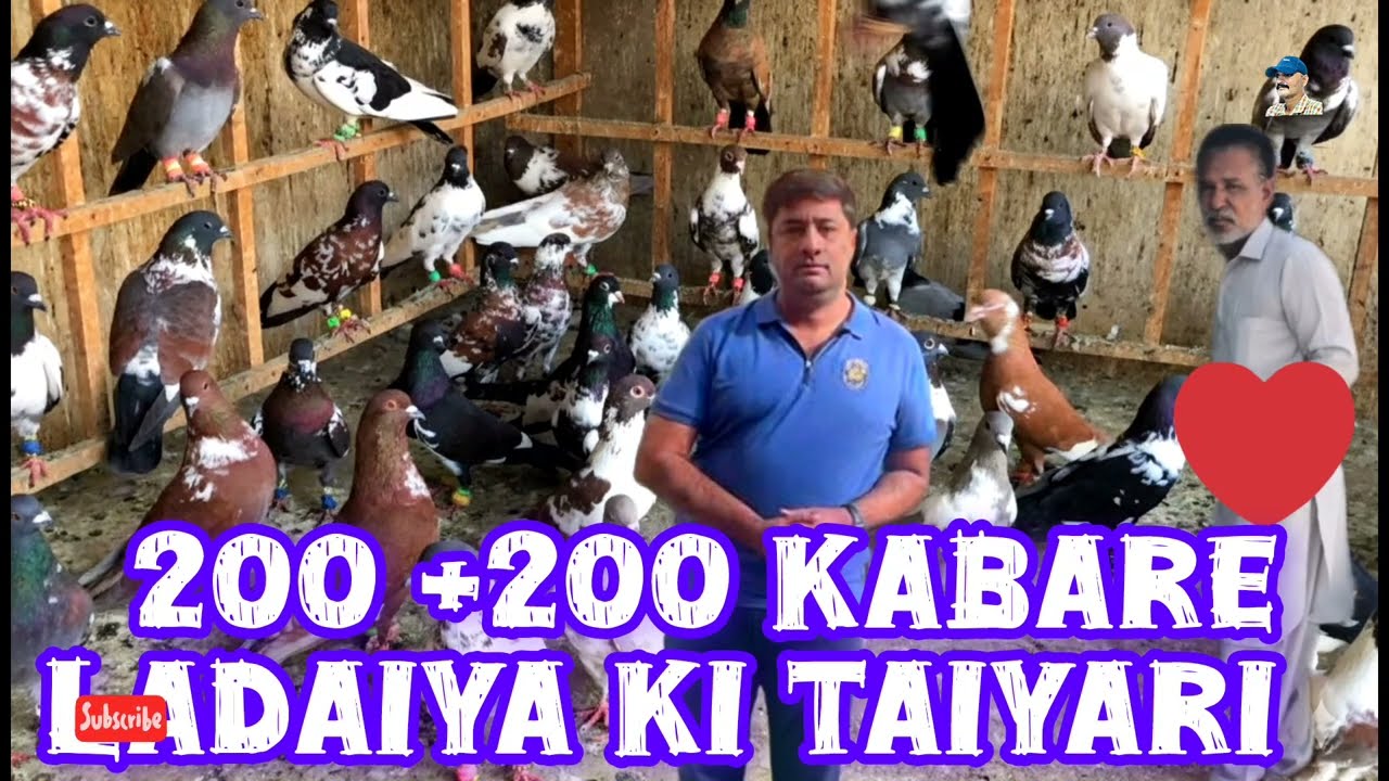 Bilal Bhai Cattle Farm Wale Ke 200 kabray kabutar ready | Full Loft Tour | 🇵🇰 Most Expensive pigeon