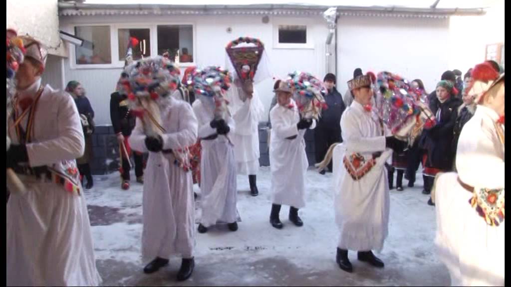 tudora 2015