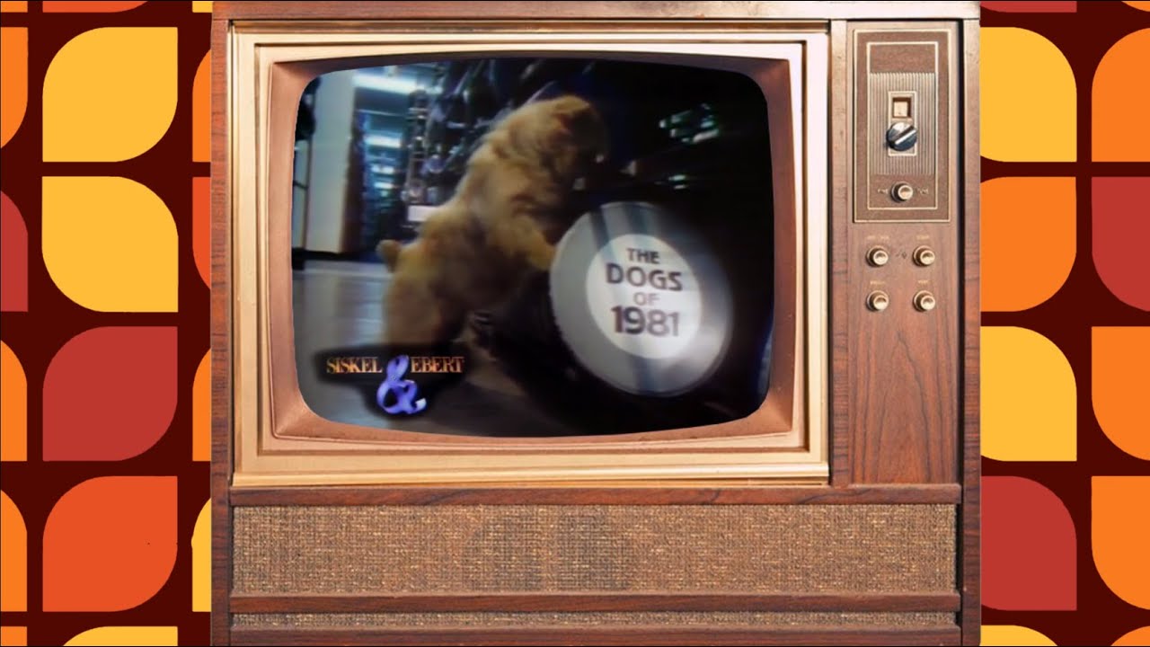 Siskel & Ebert: Dogs Of 1981 - Buddy Buddy, Cannonball Run, Chu Chu and the Philly Flash, The Fan