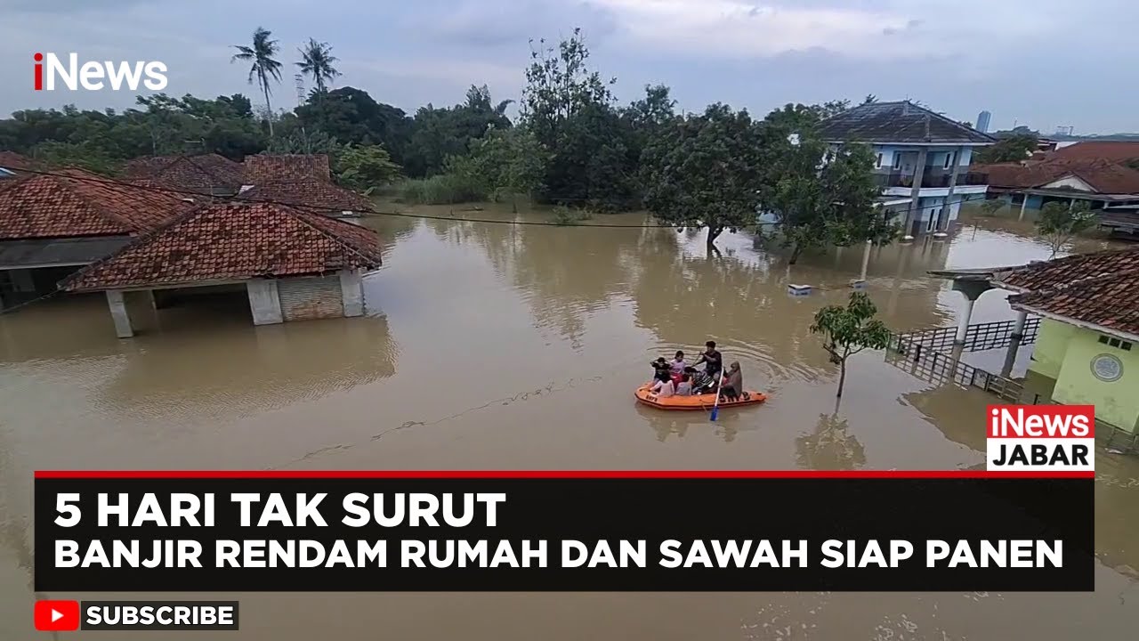 Air Capai 1,5 Meter, Banjir Karawang Rendam Rumah dan Sawah Siap Panen | iNews Jabar
