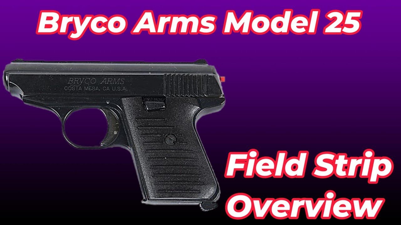 Bryco Arms Model 25 Field Strip Overview