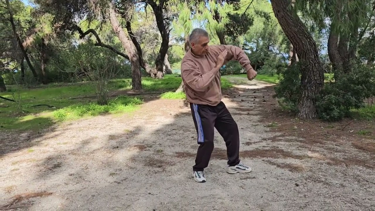Learning overhand punch. Yi Quan. Apprendre le poing plongeant.