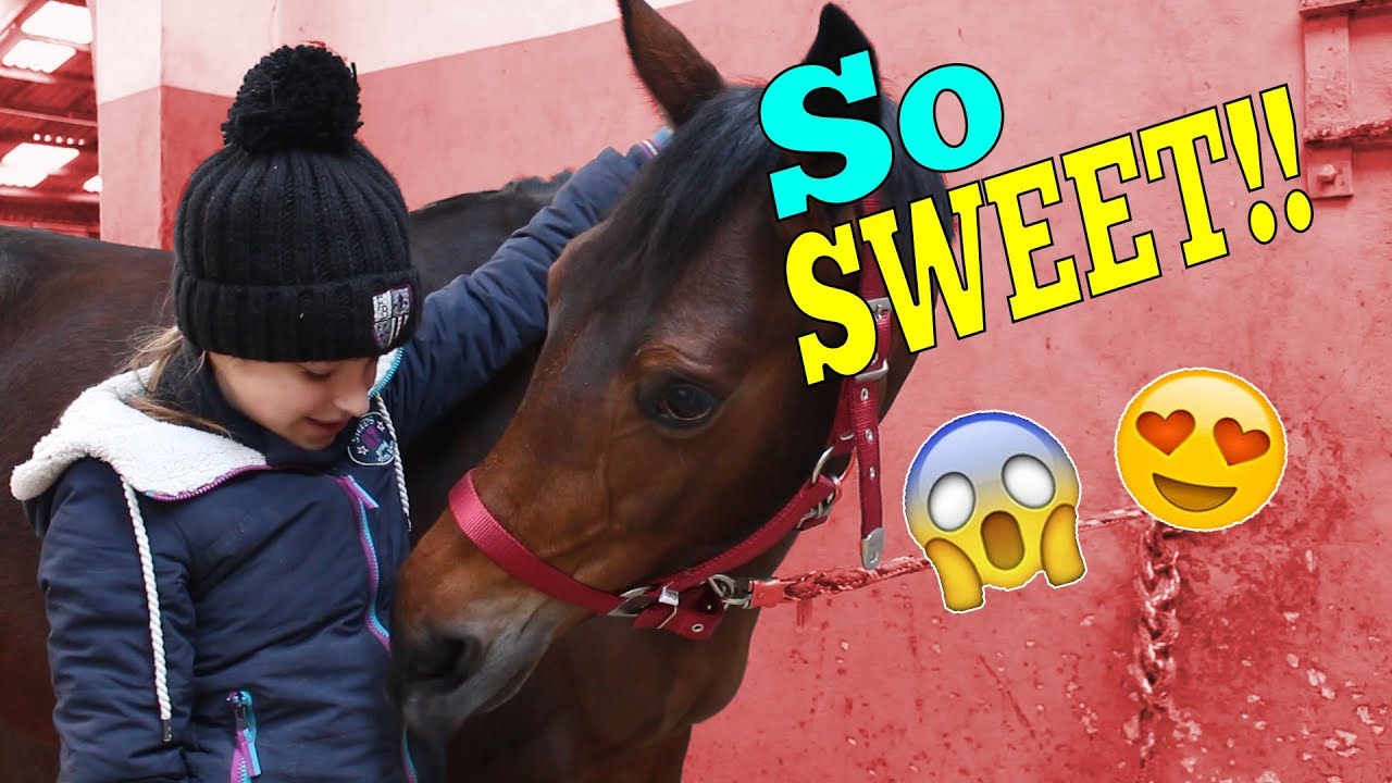 MEINE PUTZROUTINE! | WINTEREDITION ♥ | Marina und die Ponys