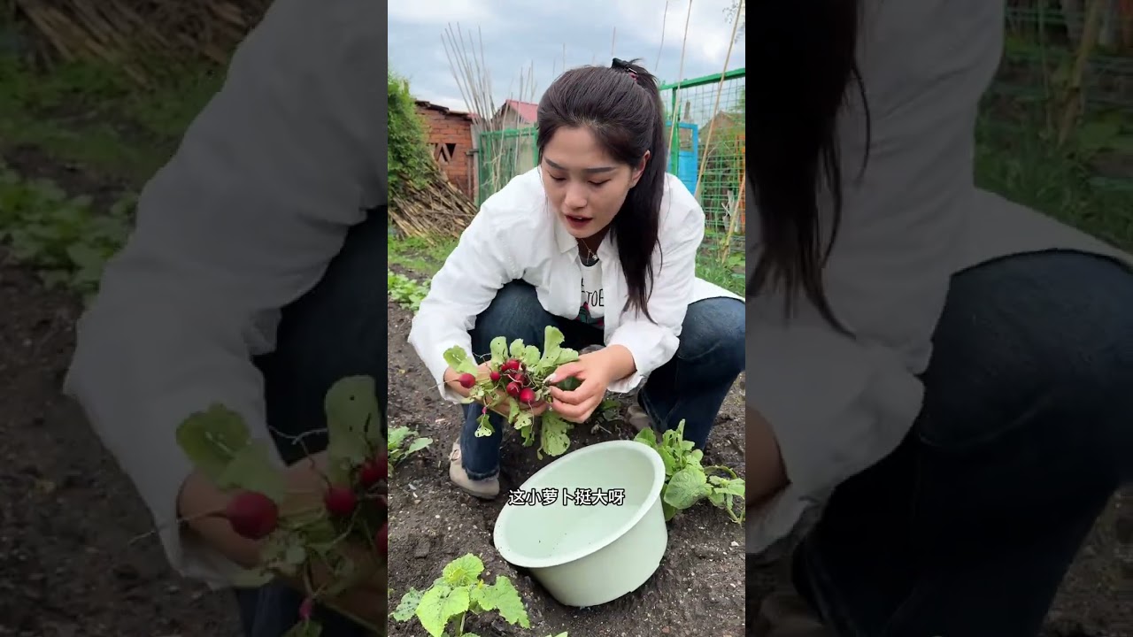 看看俺老婆婆做的千层豆沙卷嘎嘎哇塞！#记录我的农村生活 #海氏M5Max静音多功能厨师机
