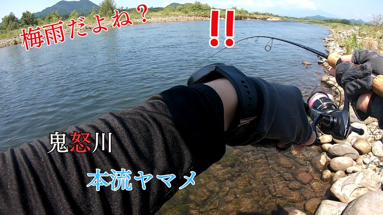 梅雨だよね？３０℃超えても鬼怒川でヤマメ釣る！【2025本流ヤマメ釣り】
