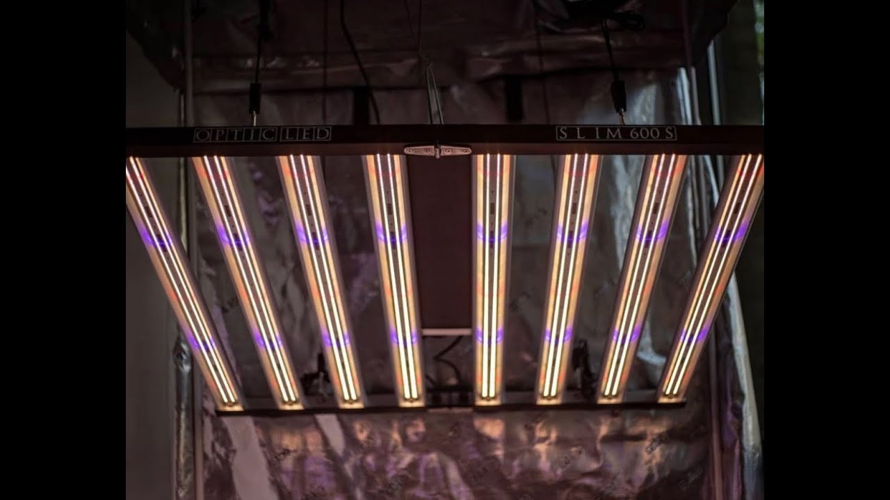Optic LED Grow Lights