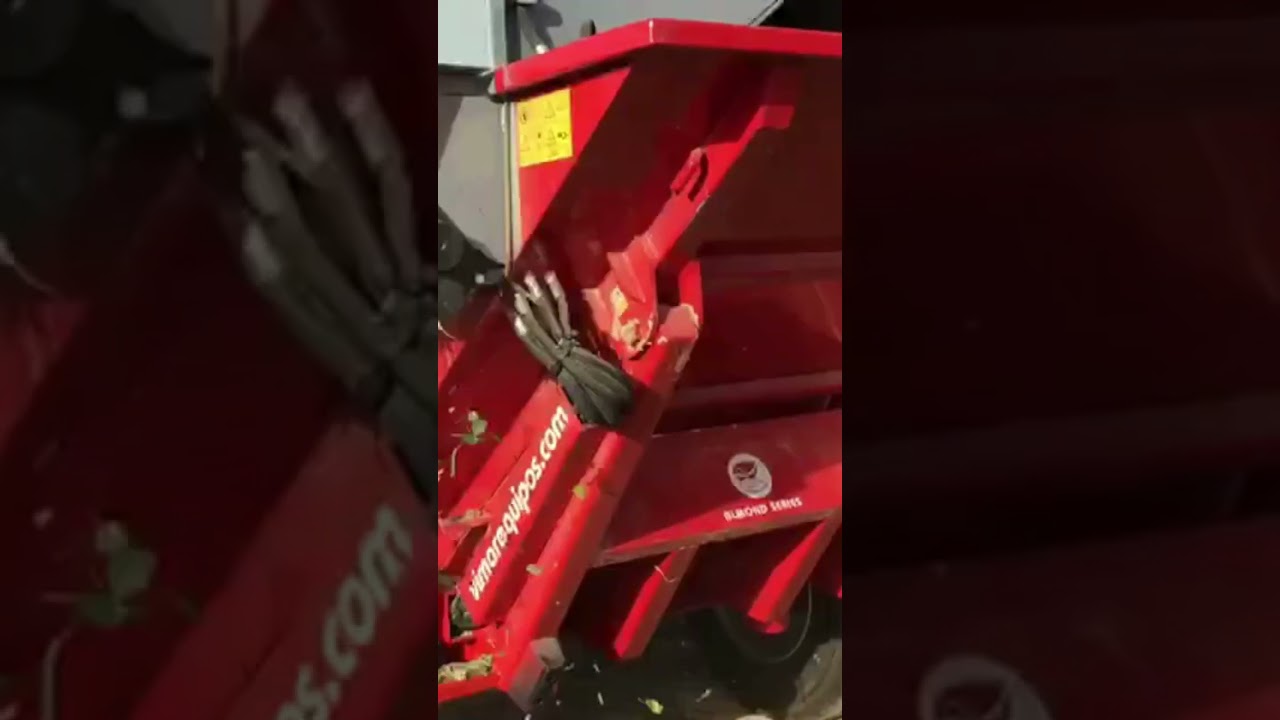 Peladora de almendra Vr4 en funcionamiento 🌿🌟 | Vimar Equipos