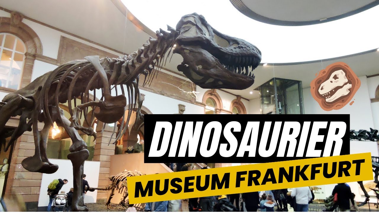 Museum Dinosaurier Frankfurt