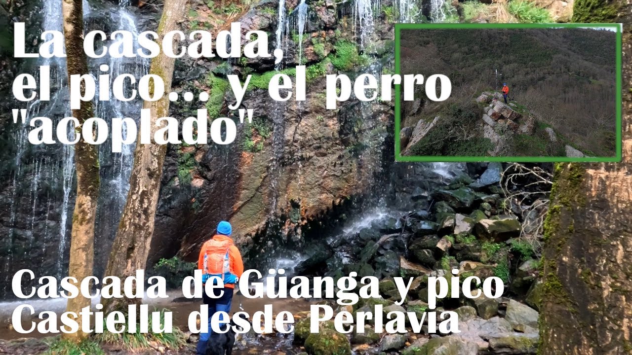 Una cascada, un pico...y un perro 