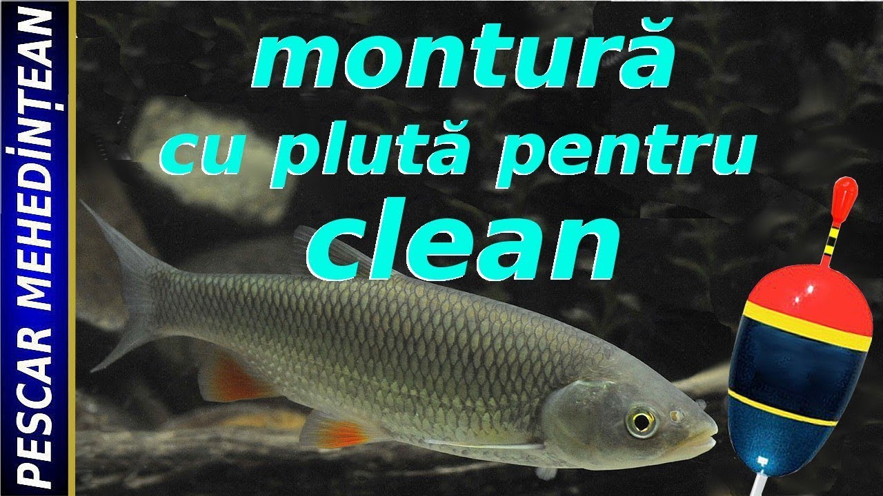 montură cu plută pentru clean