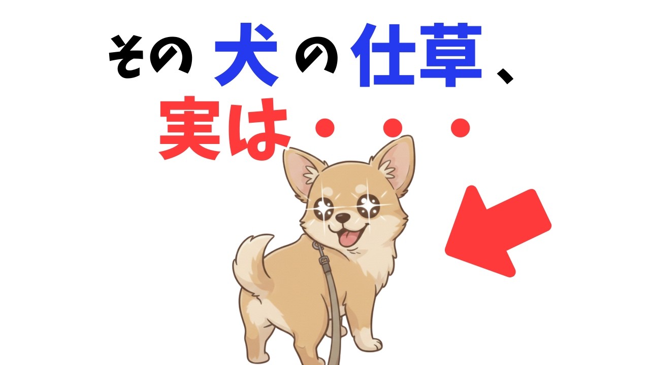 【犬の気持ち】わんこの仕草を人間語に翻訳！「ため息」や「窓際にいる」の本当の意味知ってる？
