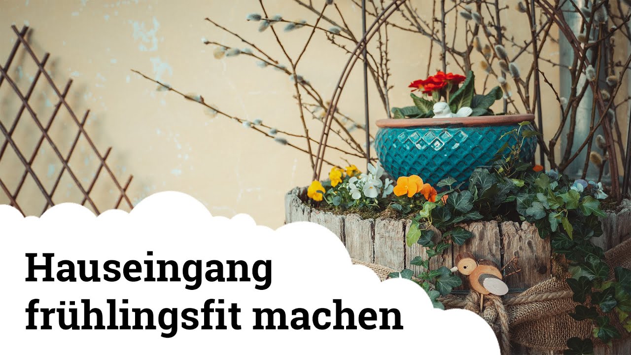 Frühlingsblumen | Hornveilchen, Primeln und Hyazinthen vor die Haustüre setzen 🌺🌷💐