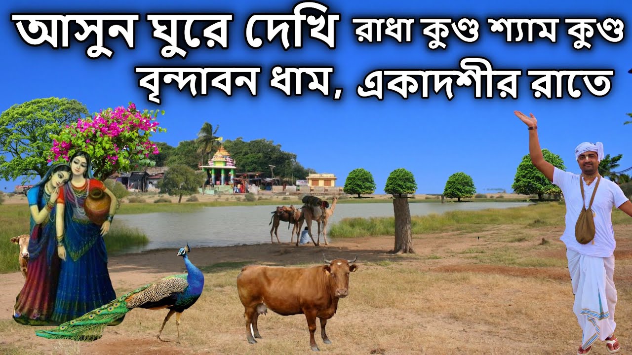 বৃন্দাবন ভ্রমণ, vrindavan, আসুন ঘুরে দেখি রাধা কুণ্ড শ্যাম কুণ্ড একাদশীর রাতে। মথুরা বৃন্দাবন,