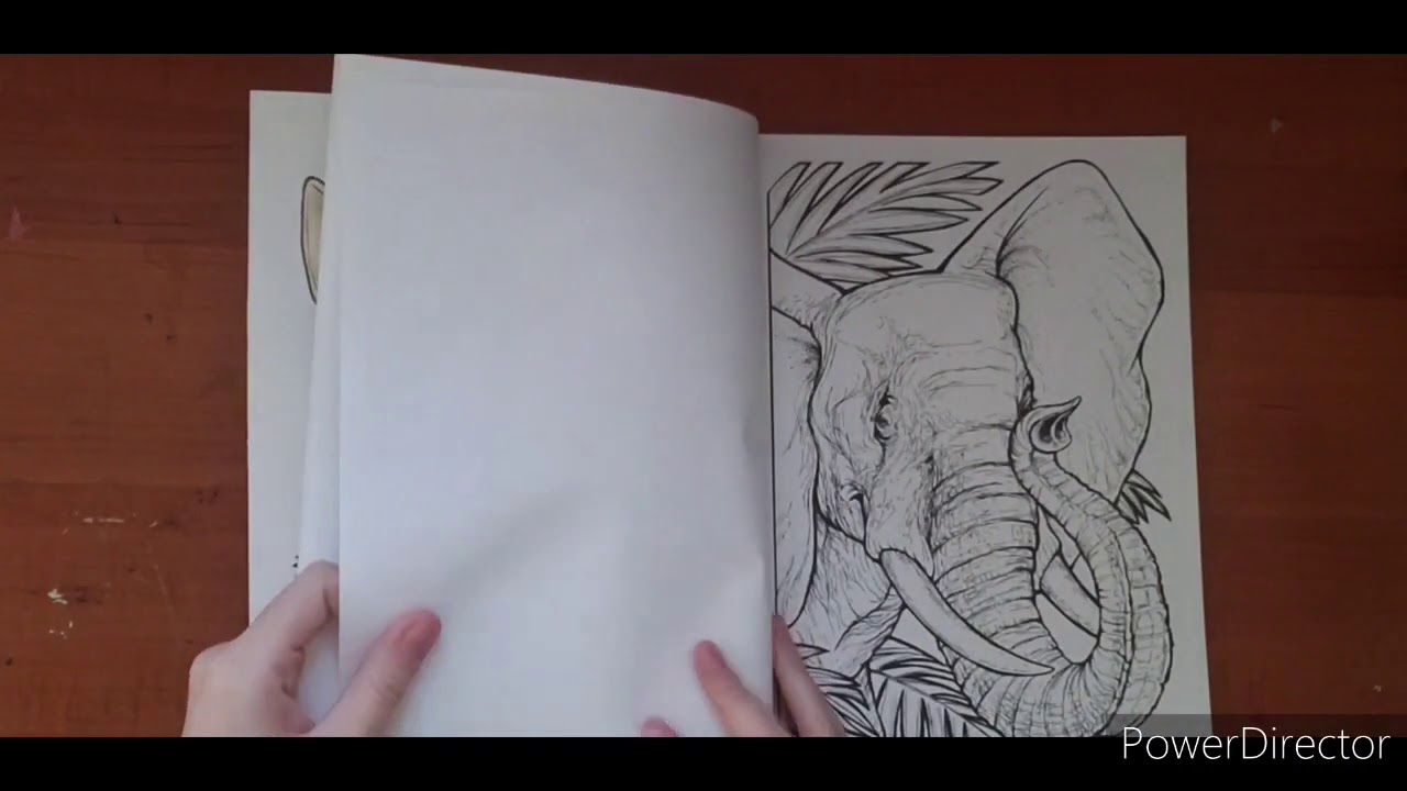 Coloring Book Collection part 3: Creative Haven