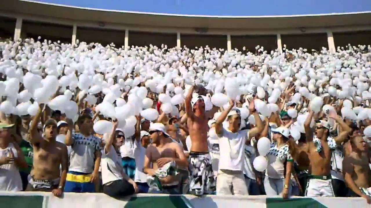 Mancha Verde - Palmeiras