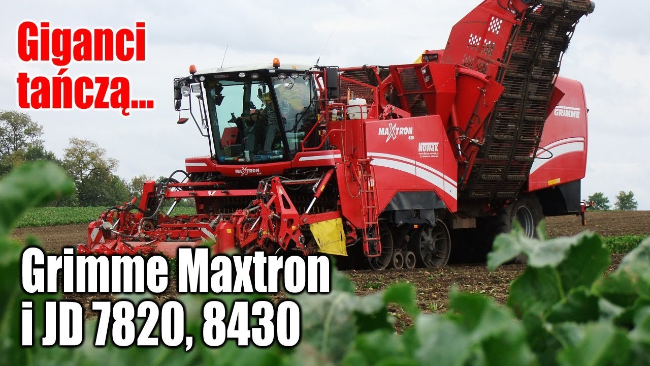 Giganci tańczą... Grimme Maxtron 620 i John Deere 7820, 8430 w burakach
