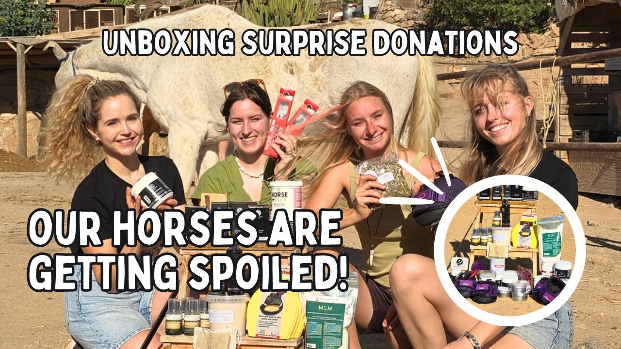 Our Horses Got Spoiled! Unboxing Dutch Influencers' Gifts | Tenerife Horse Rescue