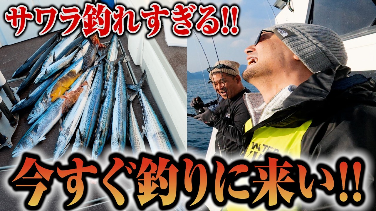 【最新】特選サワラ釣りたい人は今すぐYouTube見てね‼️
