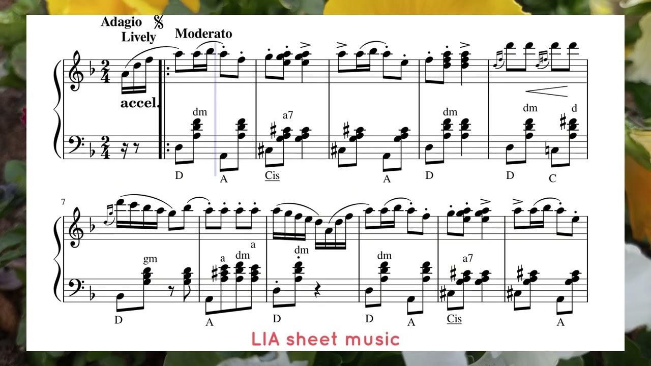 Polka Italienne (The Italian Polka)_ S.Rachmaninoff (accordion)