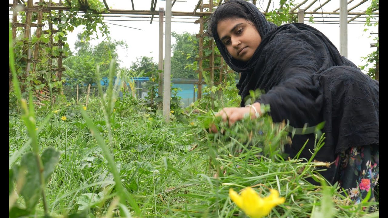 সারাদিন কাজ করলেও সংসারের কাজ শেষ হয় না | Village life with Shampa