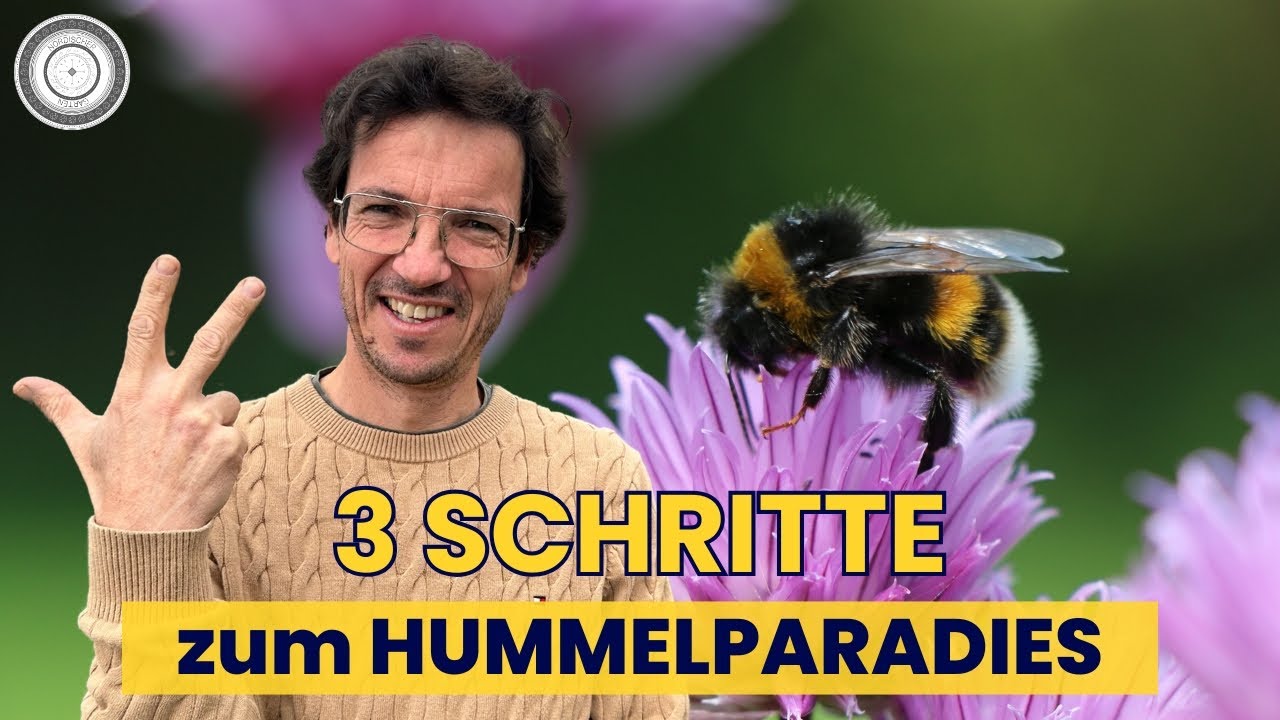 So hilfst du der HUMMEL im Frühling, Energiepflanzen, Nistraum, Trachten
