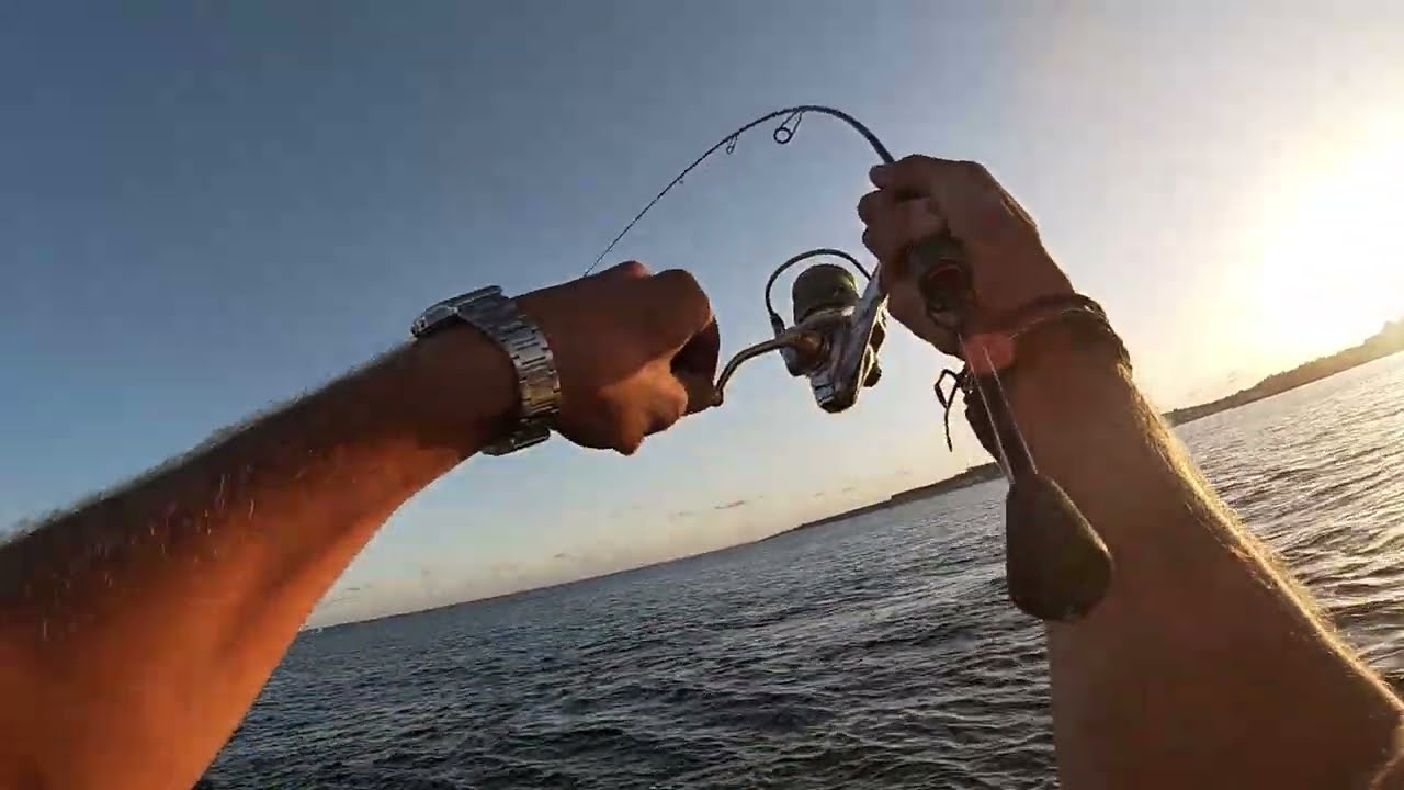 Winter LRF - Blanks and Big fish