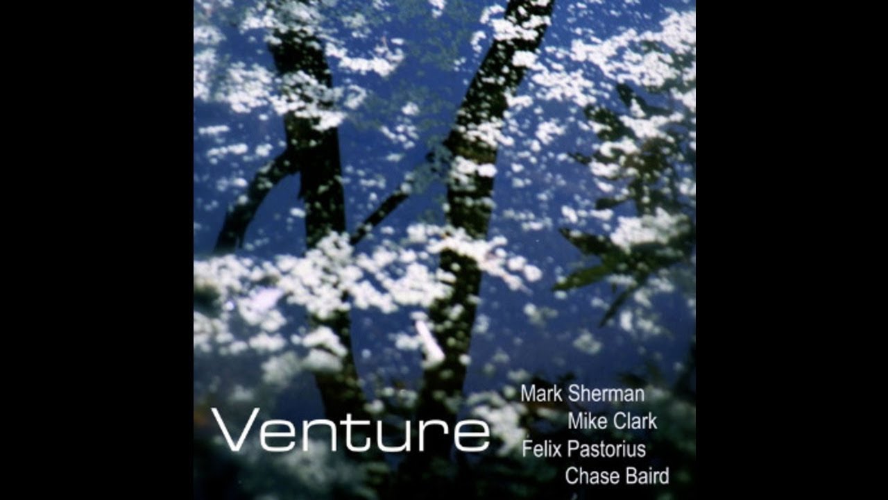 Venture 