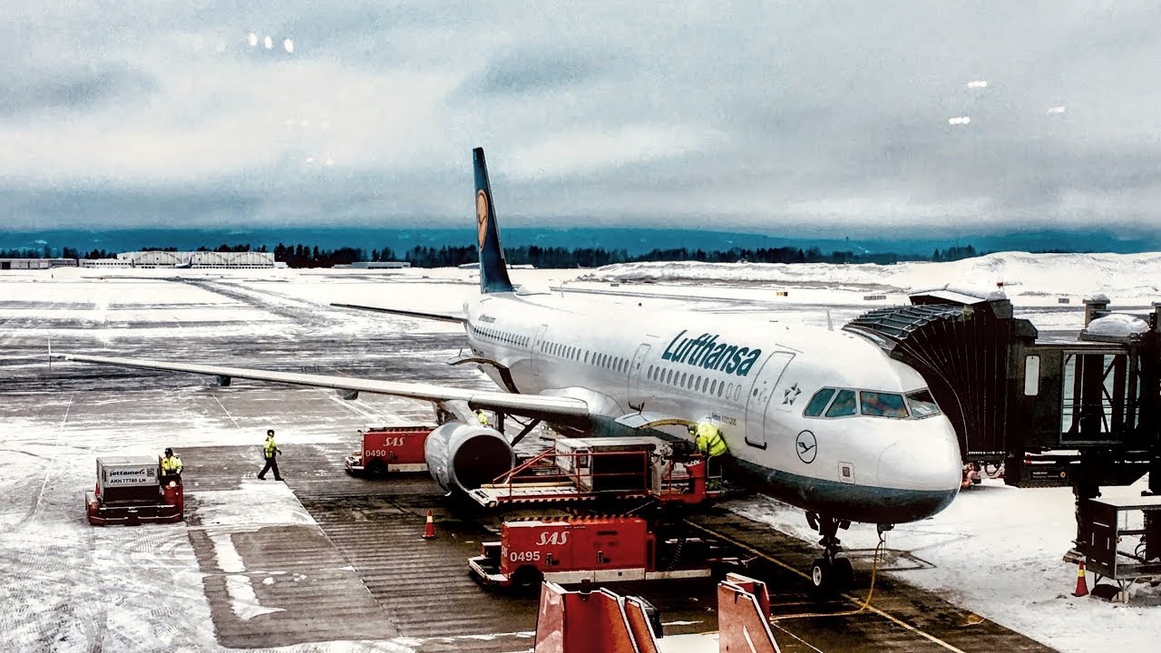 NICE SANDWICH! | Lufthansa | Economy | A321 | Frankfurt - Oslo