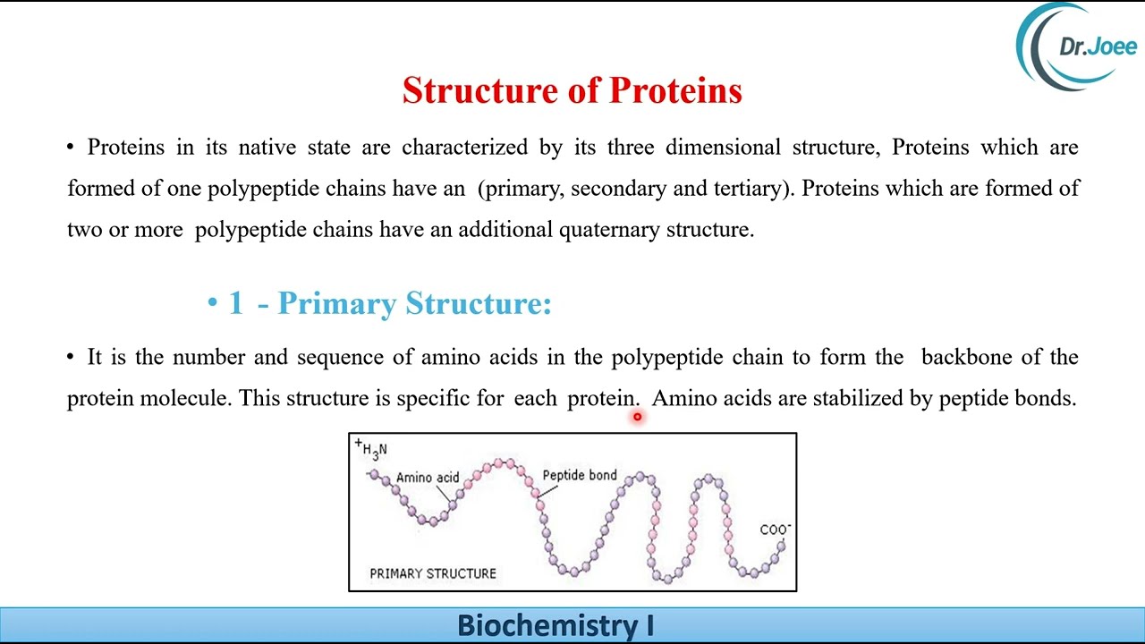 Protein Chemistry Lec8 Biochemistry I