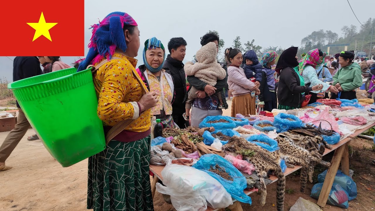 Explore a Highland Market in Vietnam – A Day at Mau Long Market