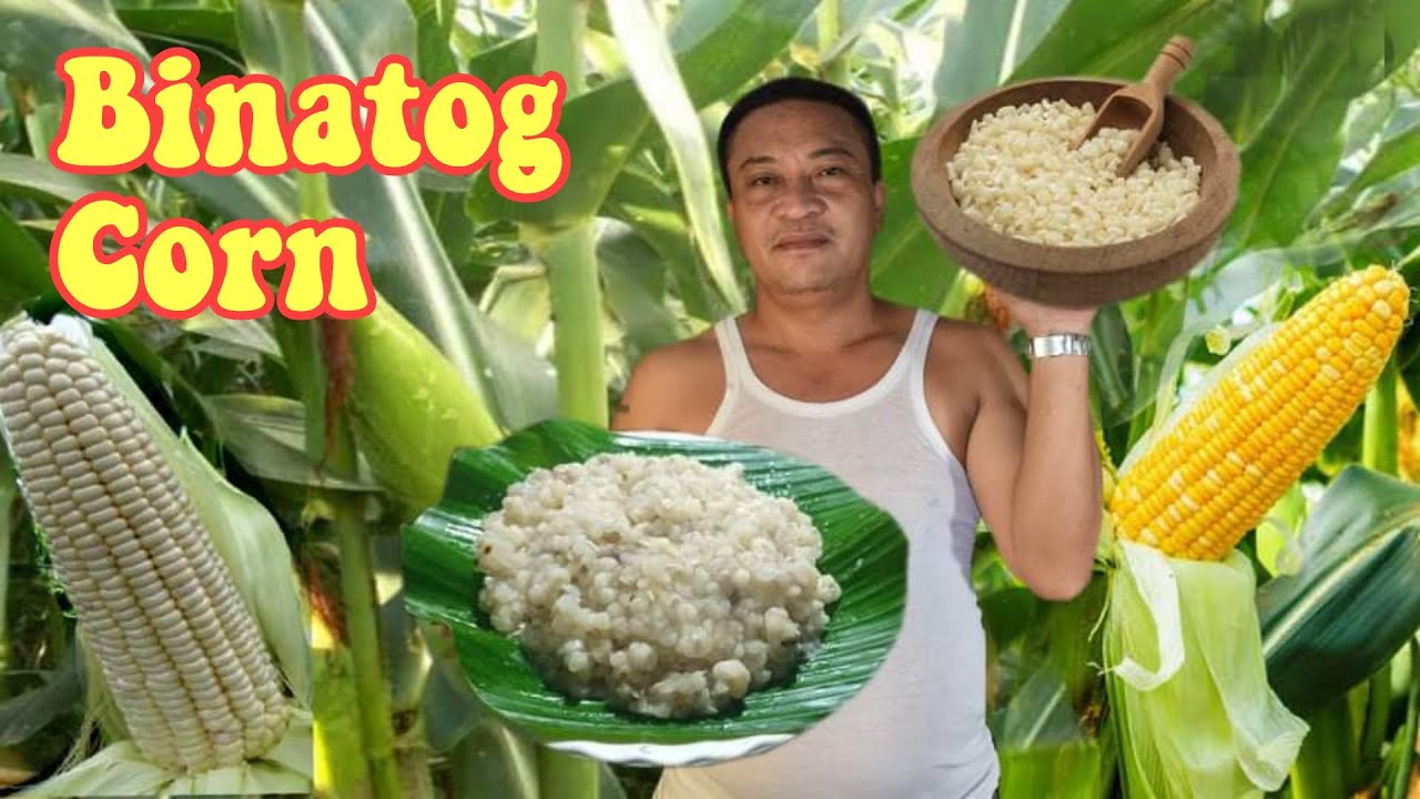 Binatog Corn | binatog with coconut milk, masarap at magugustuhan ng lahat | Arman Vlog