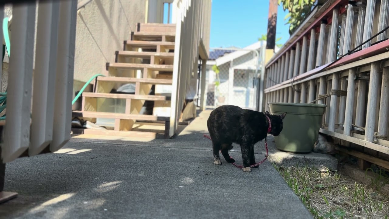 I’m outside 😆