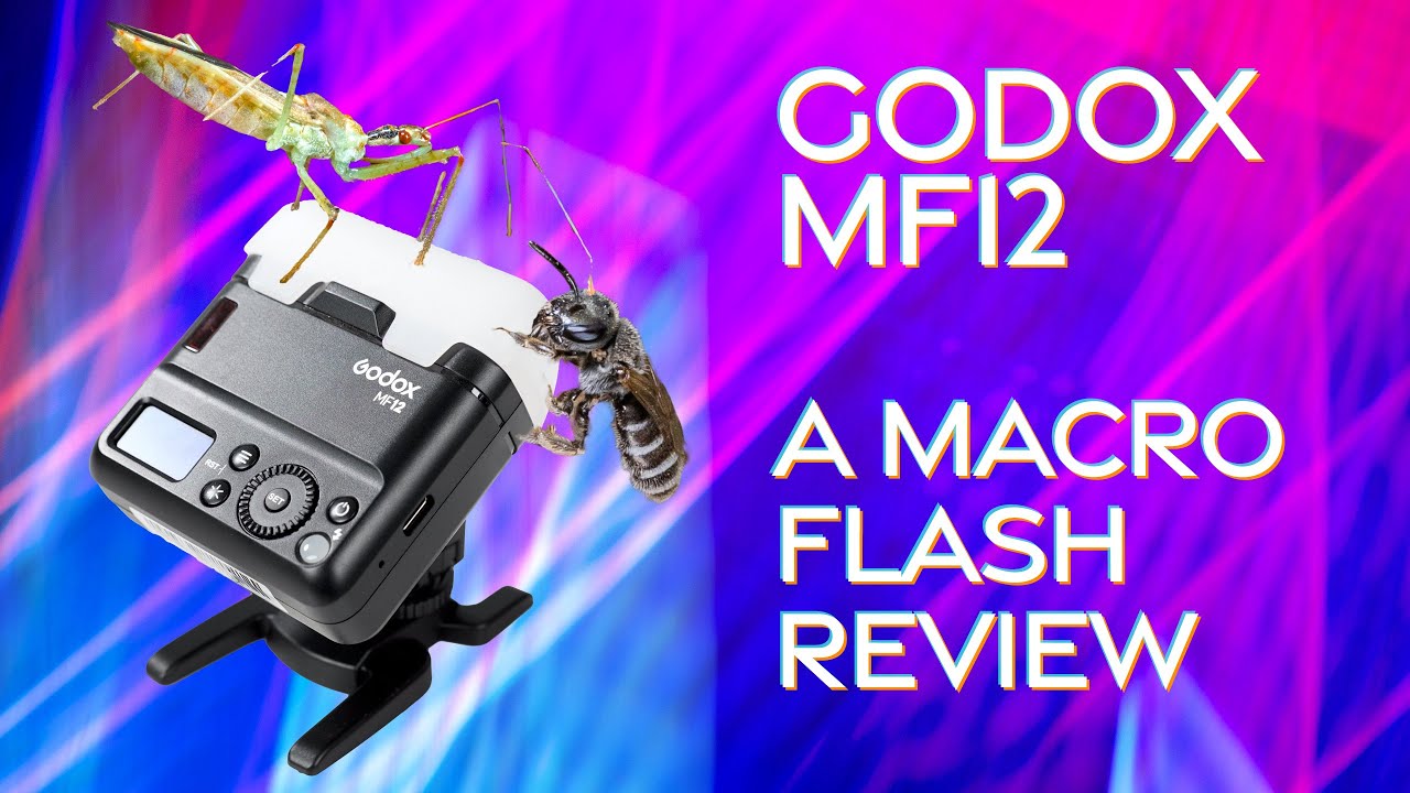 Godox MF12 Macro Flash Review - The best flash for macro work!
