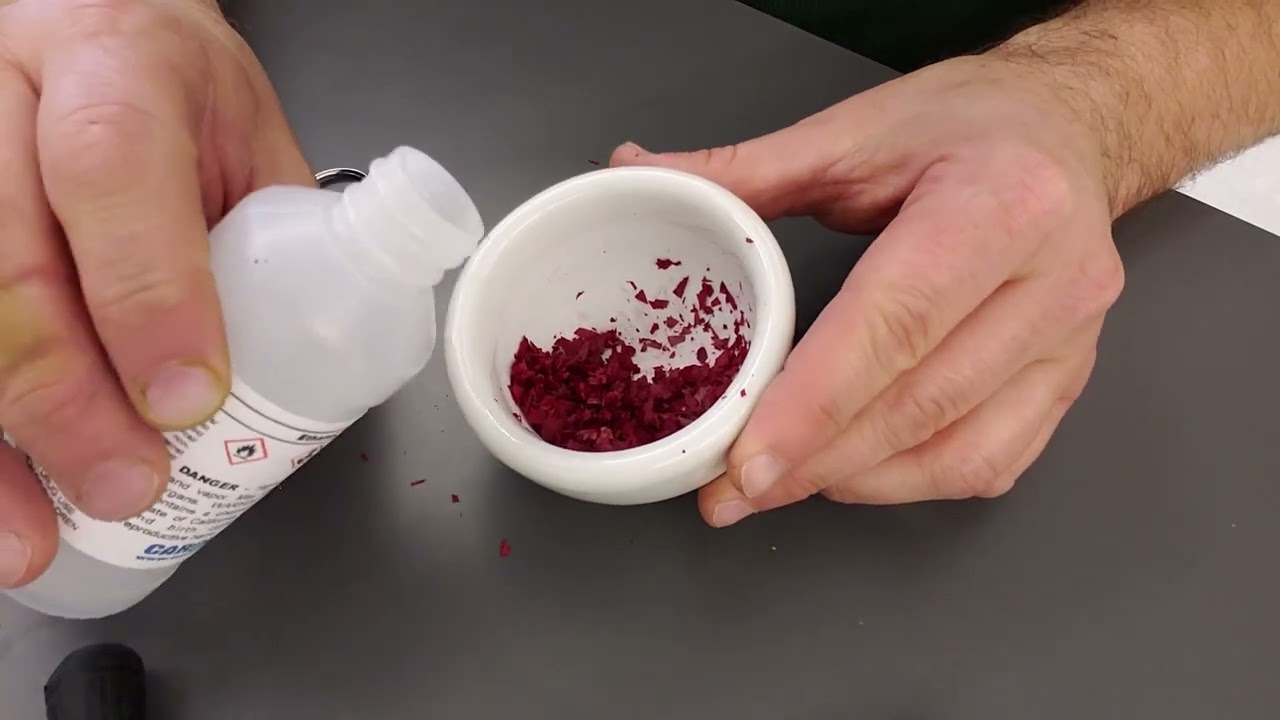 Extracting pigment from Japanese maple leaves