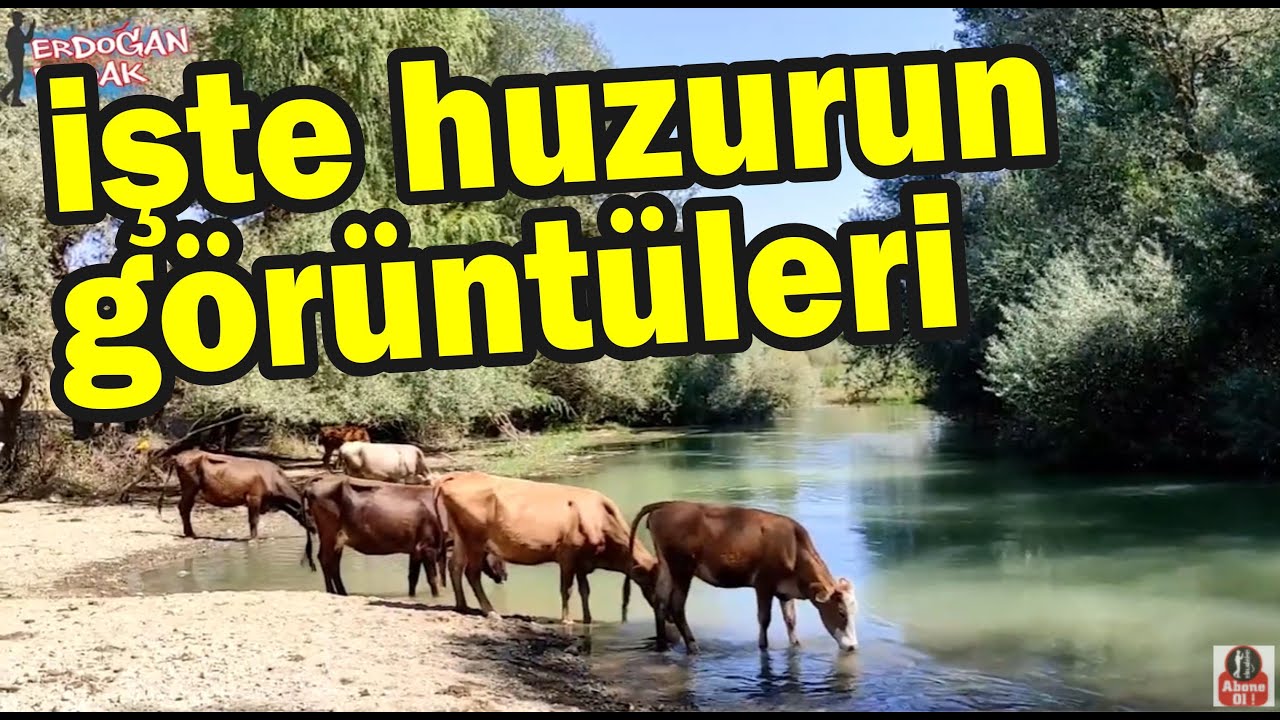 ÇEKEREK ÇANDIR ve HACI İLYAS KÖYÜNDE HAYVANCILIK