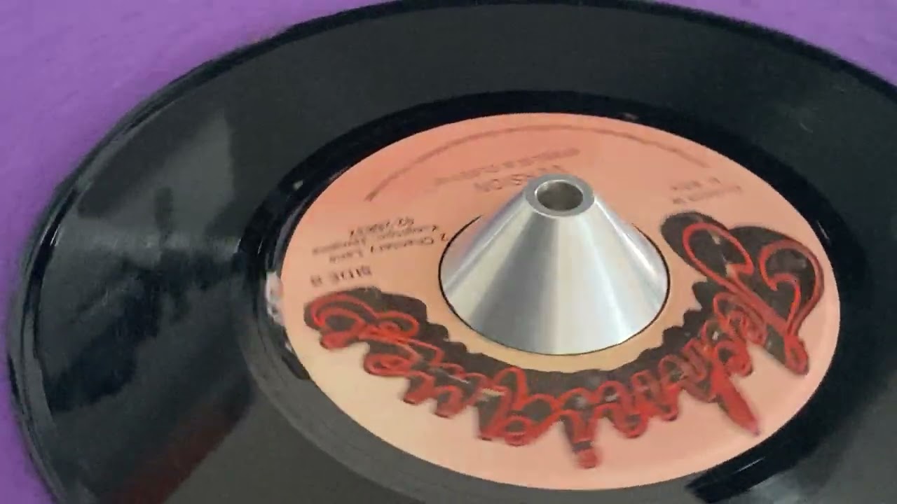 STEELIE & CLEEVIE ~ Version (FRANKIE PAUL ~ Wanna Say I Love You, B Side)