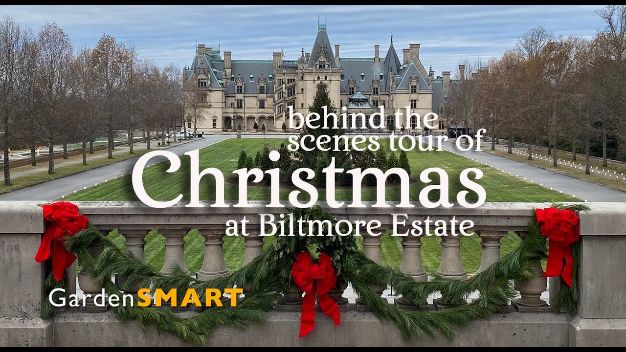 GardenSMART Christmas @Biltmore Behind the scenes