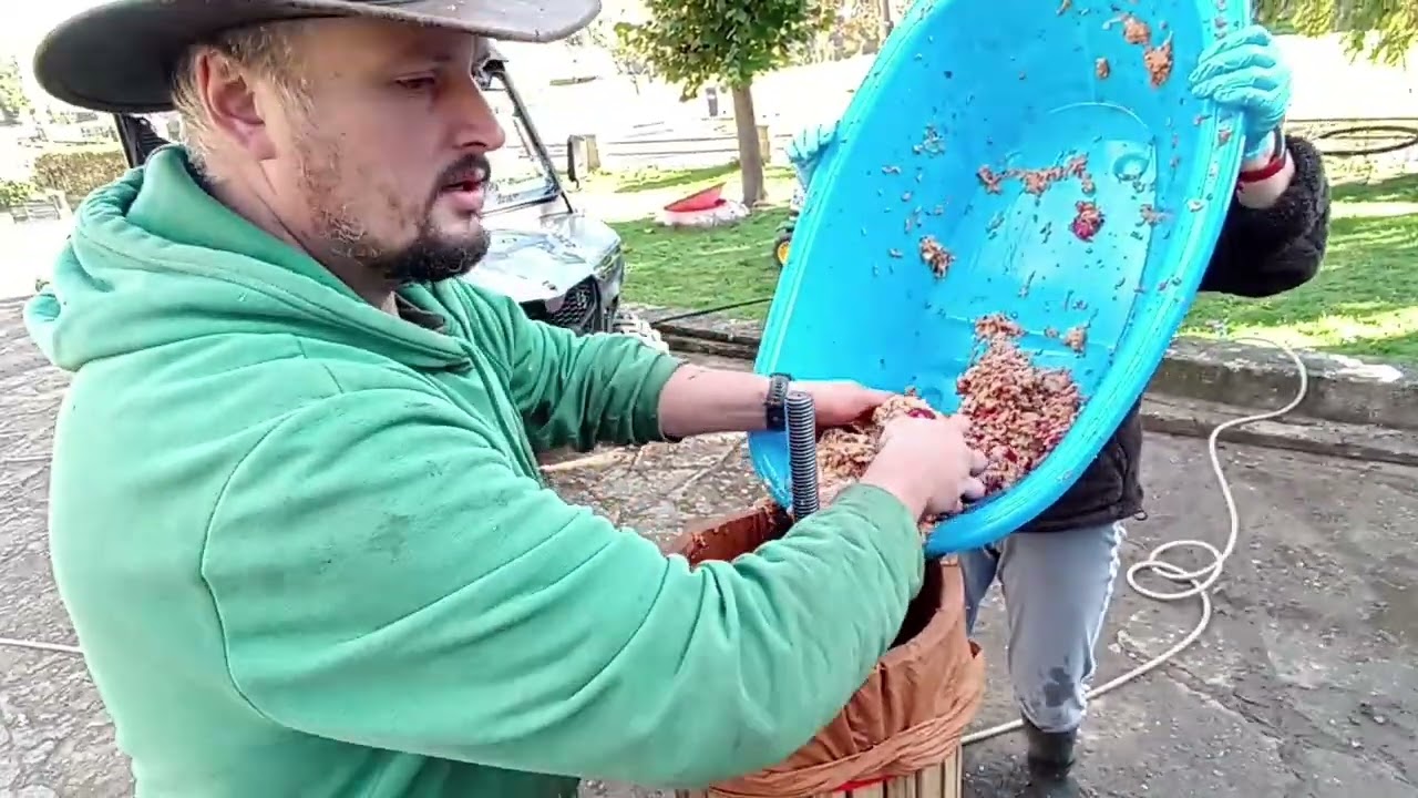 Moštování jablek 2025 - domácí výroba jablečného moštu