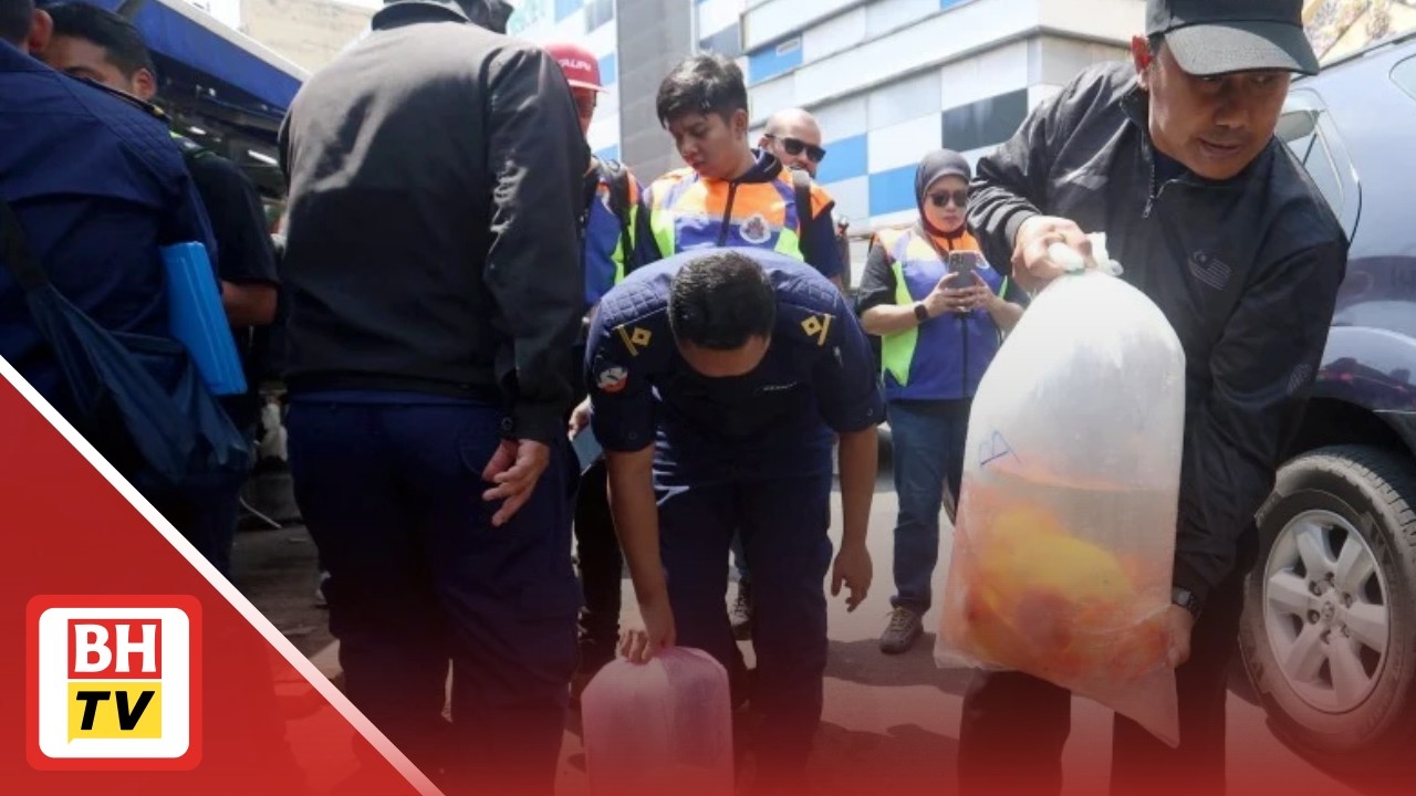 675 ikan larangan pelbagai spesies, 304 kura-kura dan labi-labi disita di Jalan Pudu