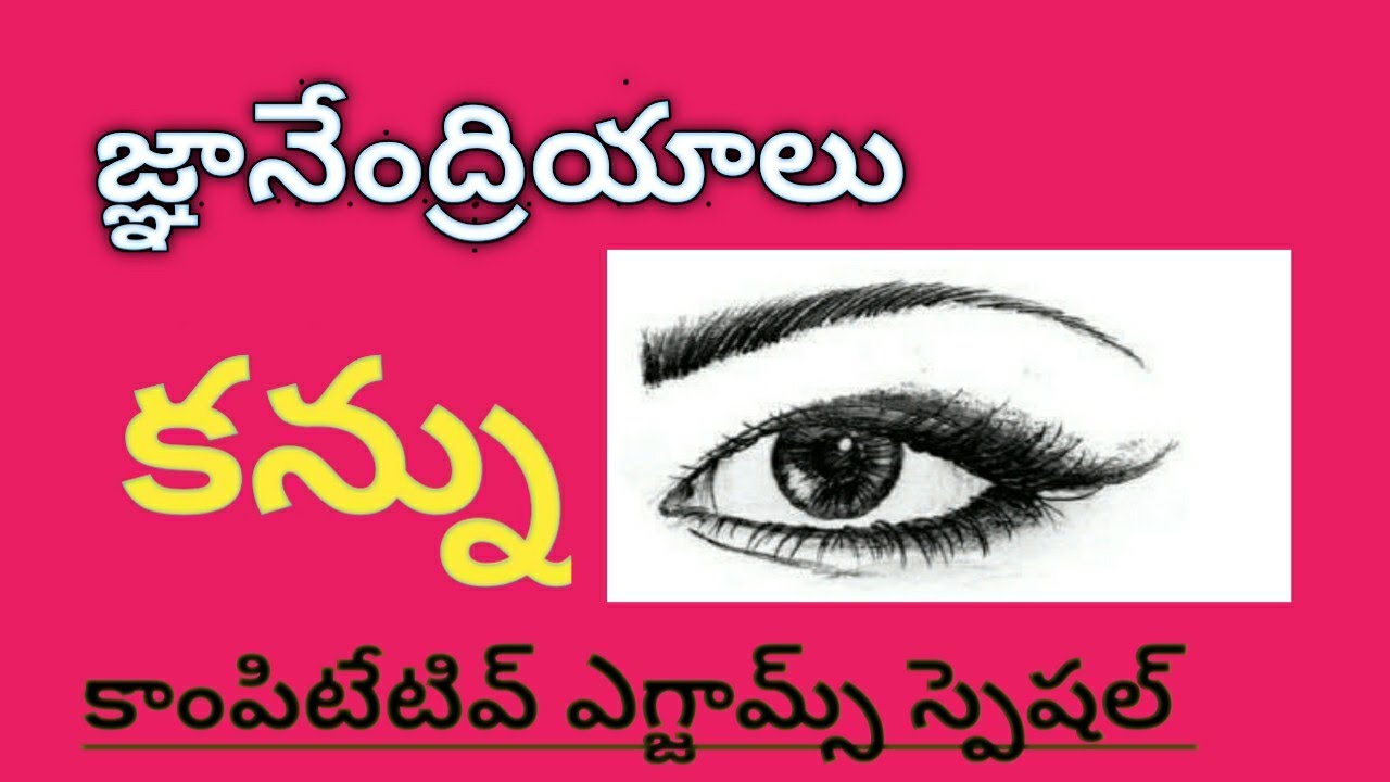 GENERAL KNOWLEDGE CLASS ON SENSE ORGANS  | TET-DSC | COMPETITIVE EXAMS | GK | SUHAN TV