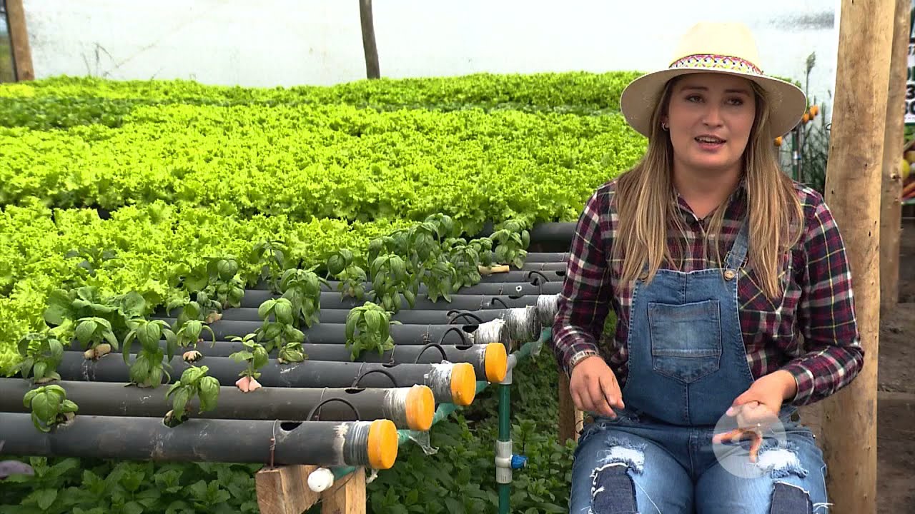 Producción orgánica de aromáticas