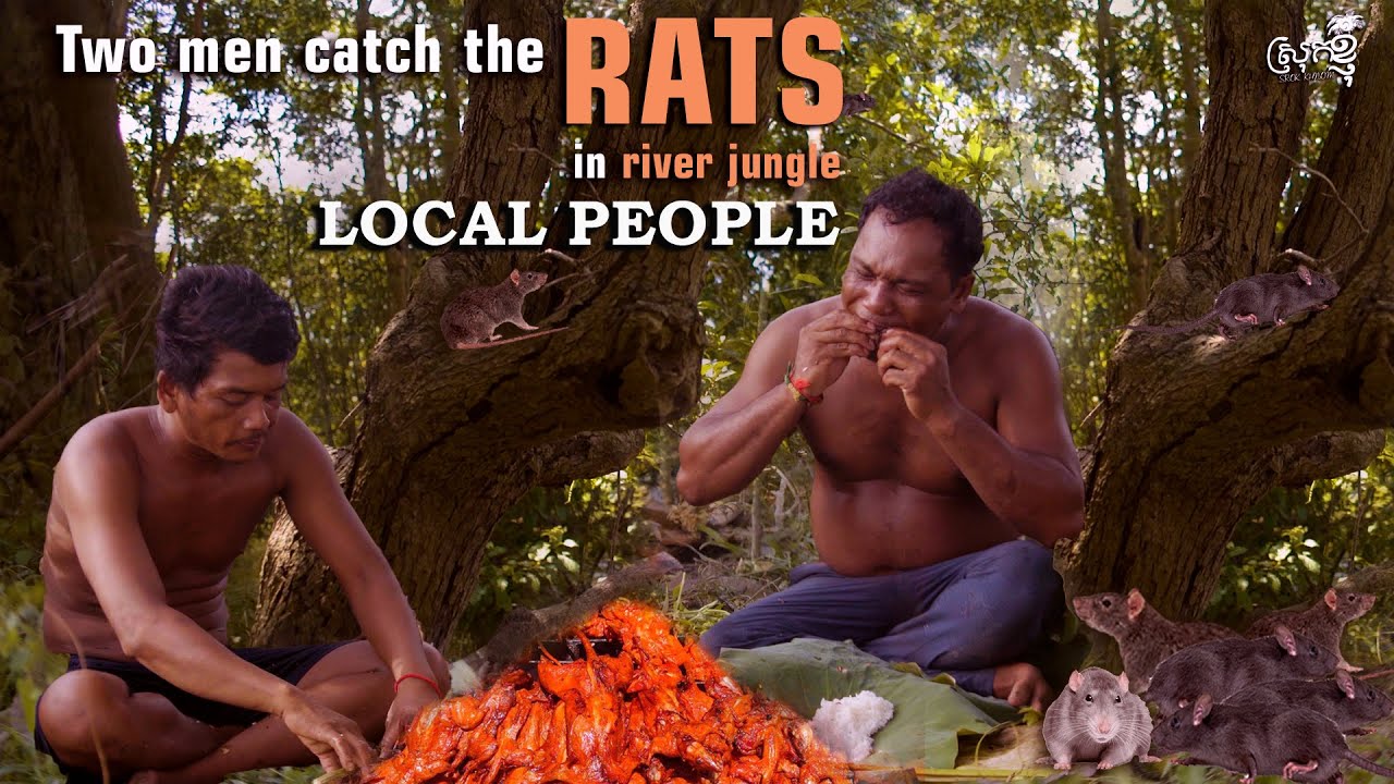 Traditional Rat Hunting in Cambodia | Kampong Chhnang River Life