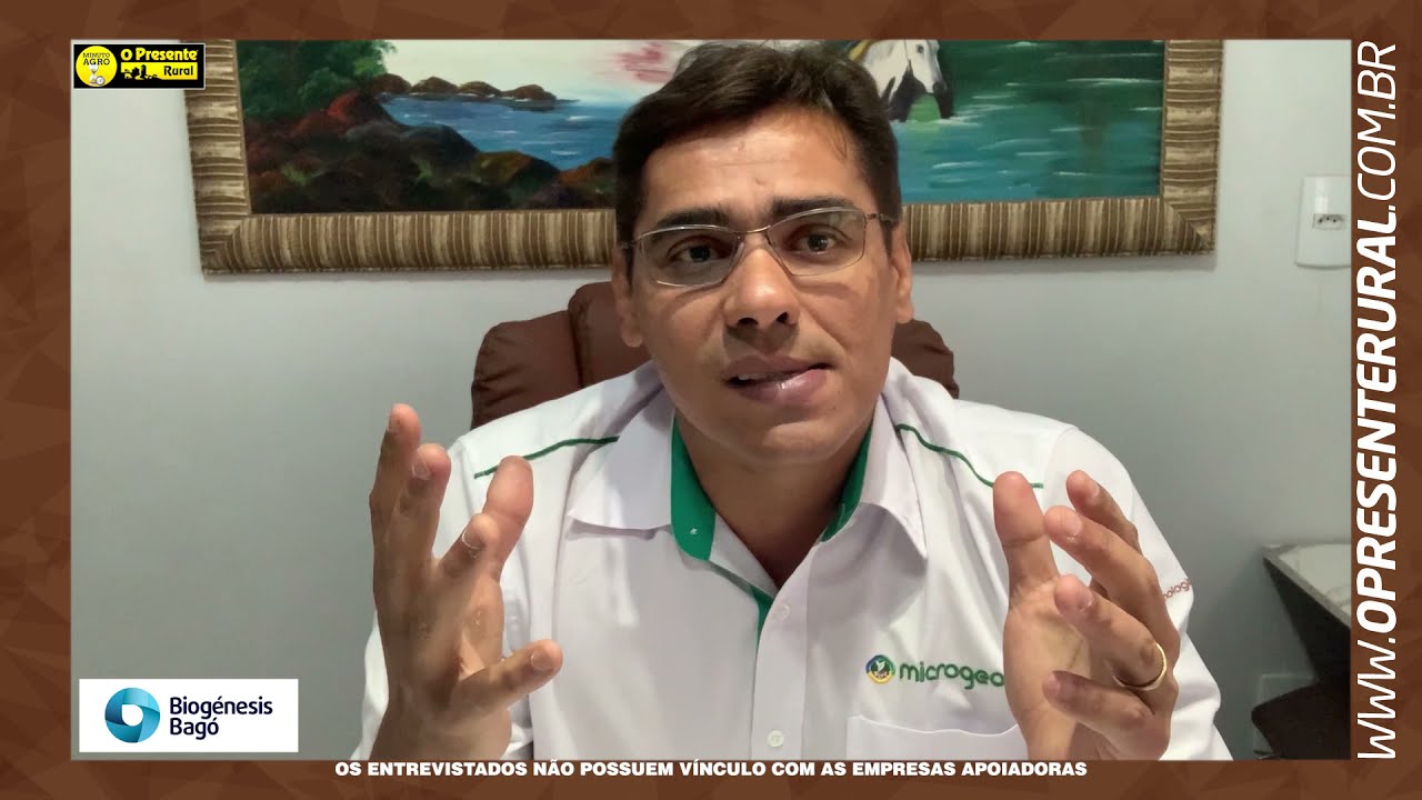 Saiba mais sobre adubação biológica do solo e os seus benefícios para a pastagem-Minuto Agro Bovinos