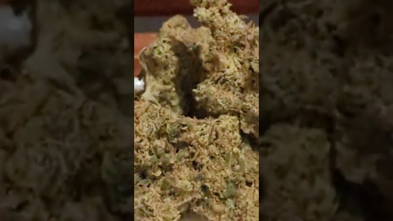 Sativite Kannabi 25 medcan strawberry cake sc01