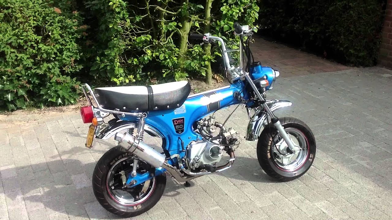 Jincheng DAX / Honda DAX [70 cc] -The Netherlands-
