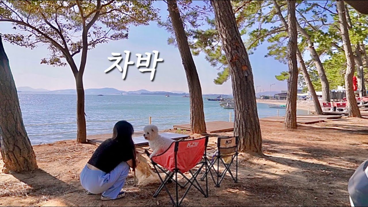 나만 알 수 없지!  완전 마음에 드는 차박지를 찾았어요 | 솔로 차박 | 반려견 동반 | 브리즈문 꼬리텐트 | 라이노 화로대 | 전남 무안 홀통183캠핑장