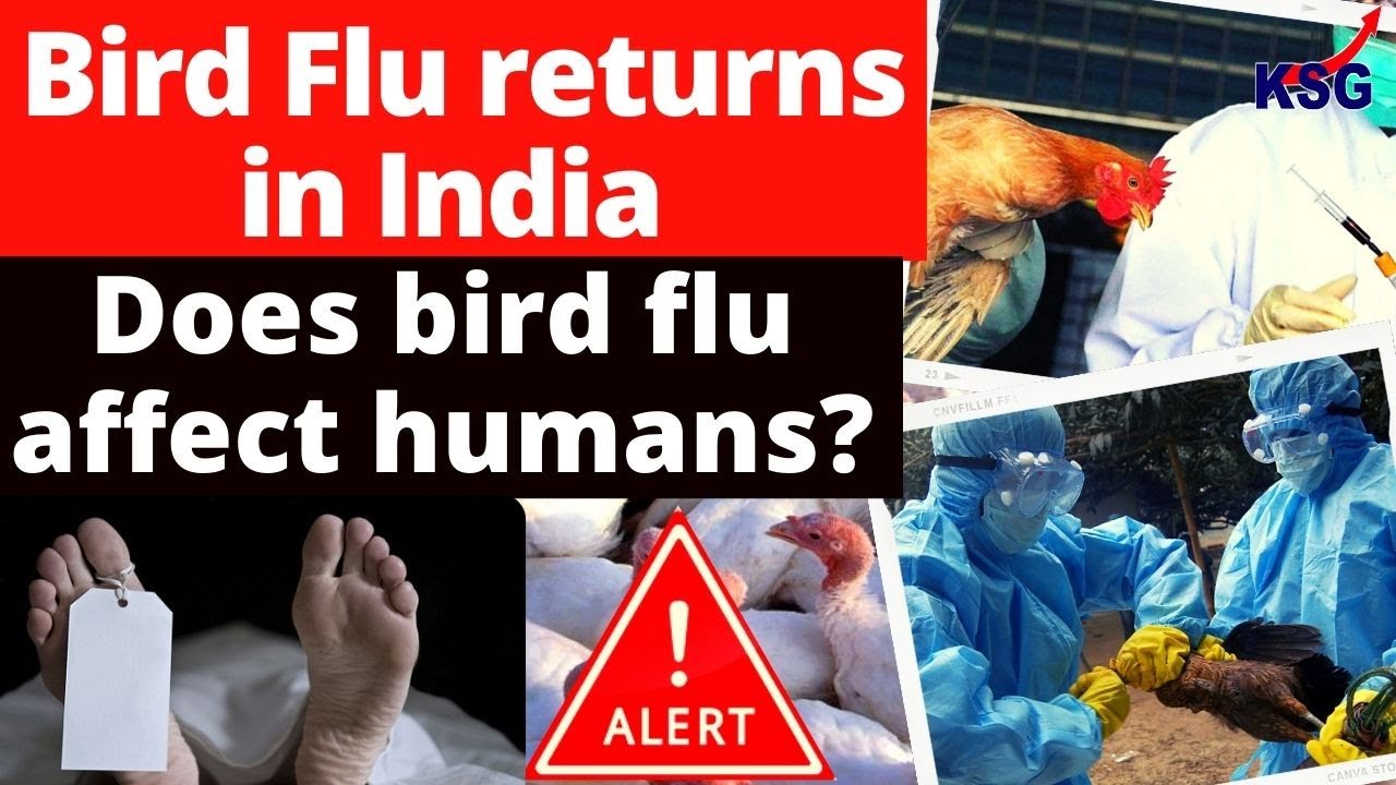 Bird Flu Outbreak in India - What is H5N1 Avian Influenza?, Can it transmit to humans? #birdflu #ias