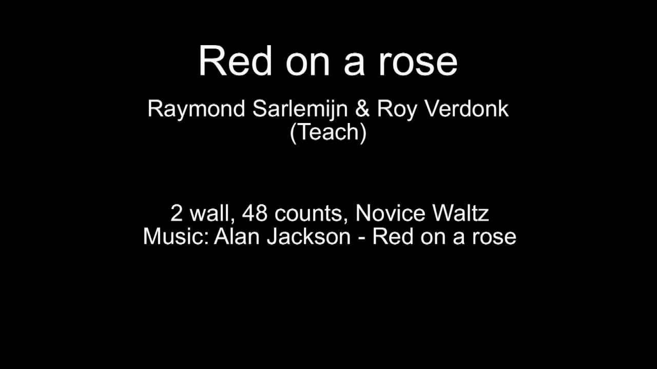 Red on a rose - by Raymond Sarlemijn (teach) & Roy Verdonk