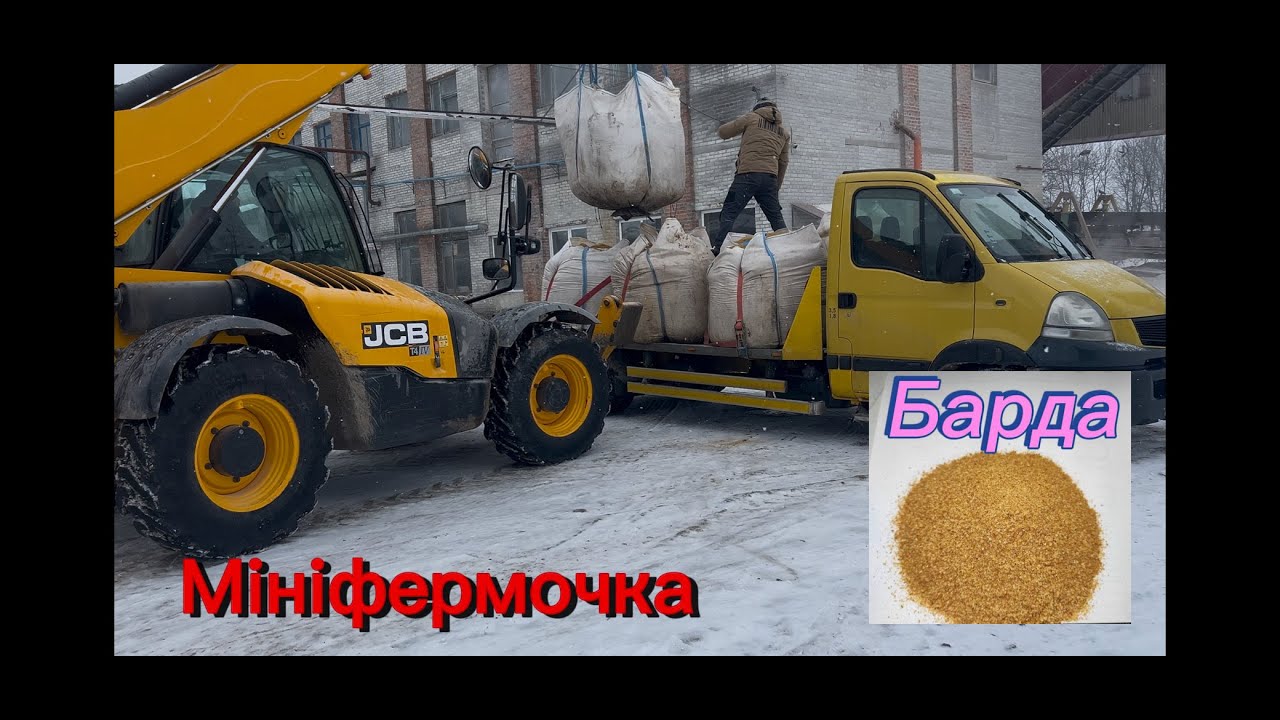 Відгодівля бичків! Кукурудзяна барда!Дешевий корм